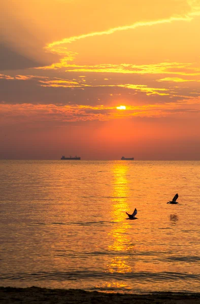 Zonsondergang — Stockfoto