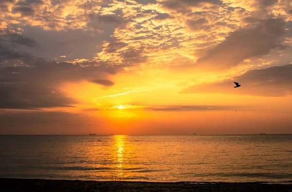 Puesta de sol — Foto de Stock