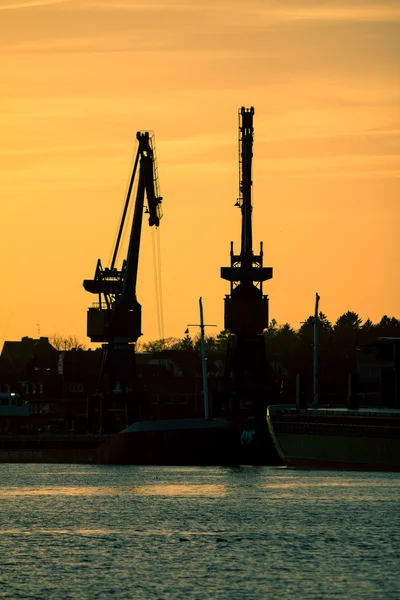 Cranes and sunset — Stock Photo, Image