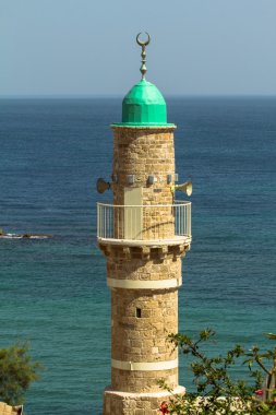 yafa