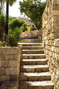 yafa
