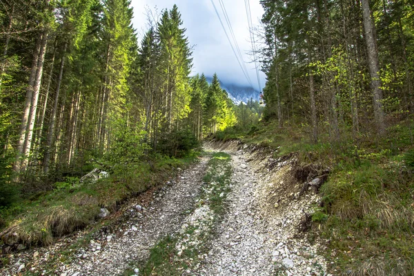 Peisaj alpin — Fotografie, imagine de stoc