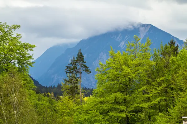 Paisaje alpino — Foto de Stock