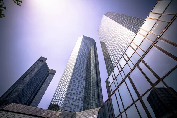 Glass skyscrapers — Stock Photo, Image