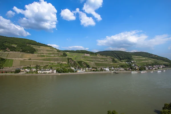 Rhine River Valley — Stock Photo, Image