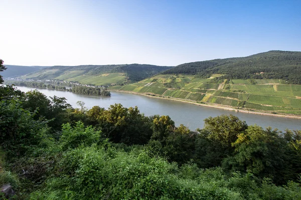 Rhine River Valley — Stock Photo, Image