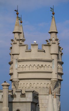 Kırlangıç yuva
