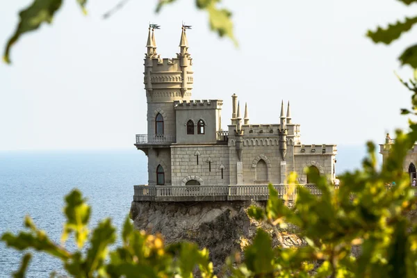 Ластівчине гніздо — стокове фото