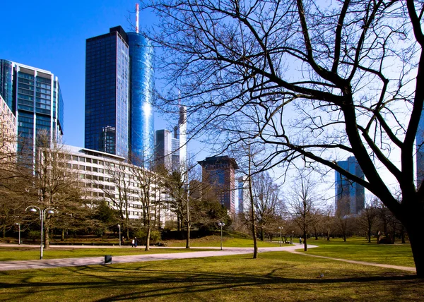 Glass skyscrapers — Stock Photo, Image