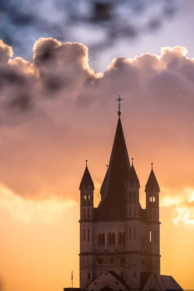 Büyük st. martin Kilisesi ve city Hall tower — Stok fotoğraf