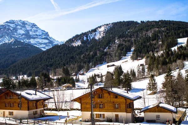 Alpine Village — Stock Photo, Image