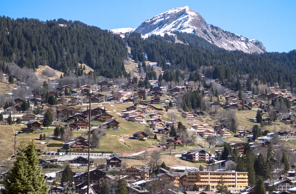 Typical swiss village — Stock Photo, Image