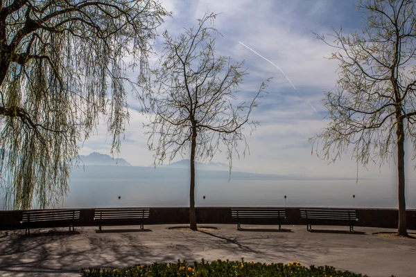 Parque a orillas del Lago de Ginebra —  Fotos de Stock