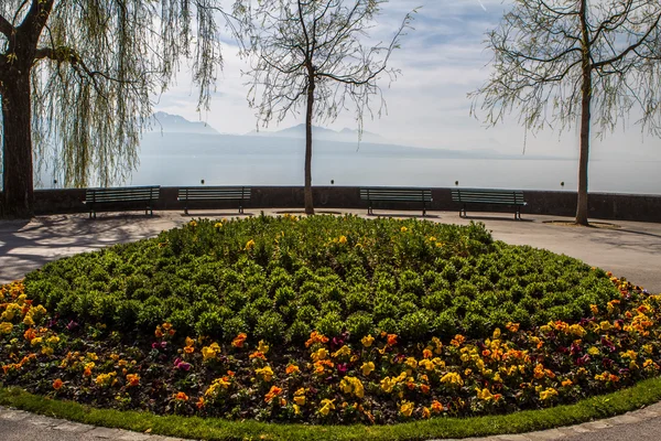Парк на берегу Женевского озера — стоковое фото
