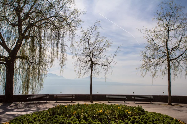 Parque a orillas del Lago de Ginebra —  Fotos de Stock