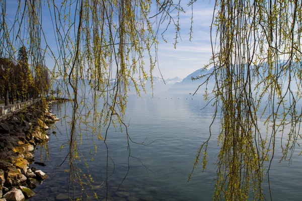 Svájci Alpokban és a Genfi-tó — Stock Fotó