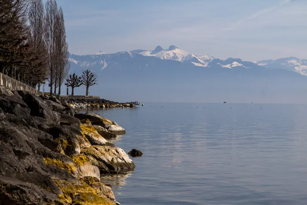 Schweizer Alpen und Genfersee — Stockfoto