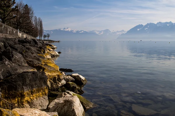 スイスアルプスとジュネーヴ湖 — ストック写真