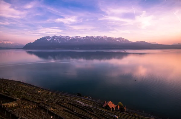 Evening Lake Geneva and the Alps — Stock Photo, Image