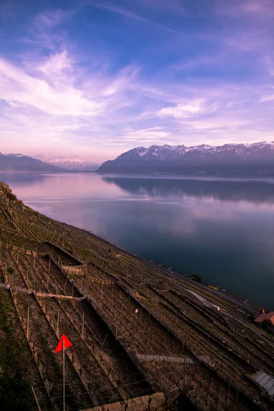 Abend Genfer See und die Alpen — Stockfoto