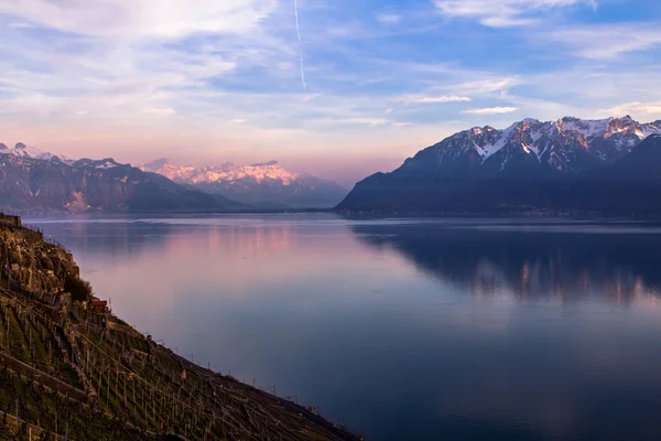 Evening Lake Geneva and the Alps — Stock Photo, Image