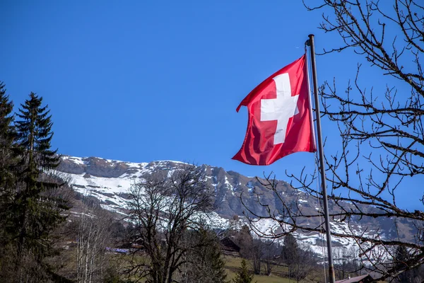 Schweizer Flagge mit Alpen im Hintergrund — Stockfoto