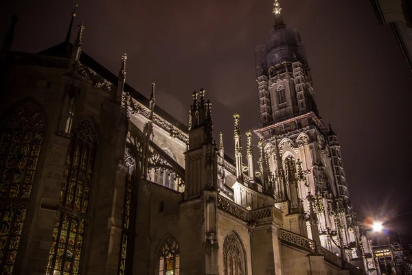 Munster bern — Stock fotografie