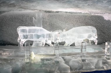 Zermatt, İsviçre 'deki dünyaca ünlü Matterhorn buzul cenneti.