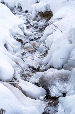 Orman nehrinin buzlu nehir kıyısında