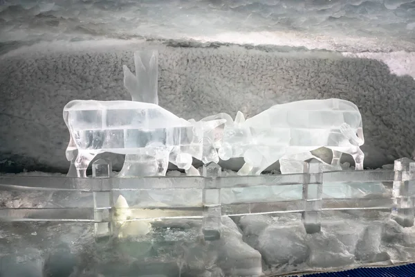 Zermatt, İsviçre 'deki dünyaca ünlü Matterhorn buzul cenneti.