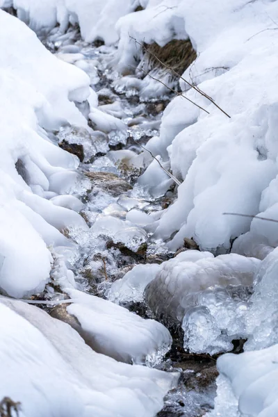 Orman nehrinin buzlu nehir kıyısında