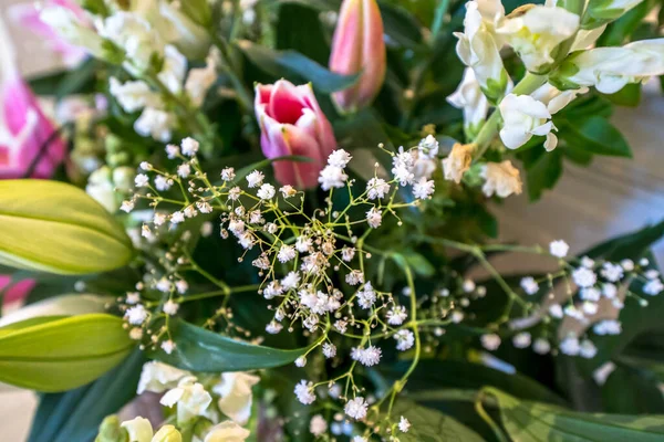 Buquê Flores Frescas Primavera Rosa — Fotografia de Stock