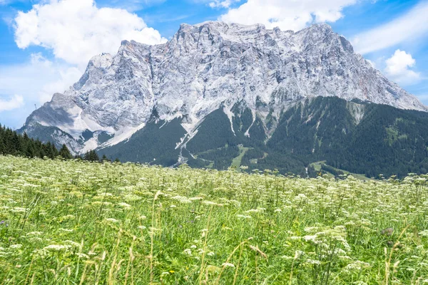 View Zugspitze Germany — ストック写真