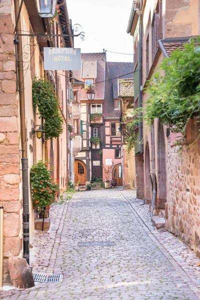 Maisons Colombages Colorées Riquewihr Alsace France — Photo