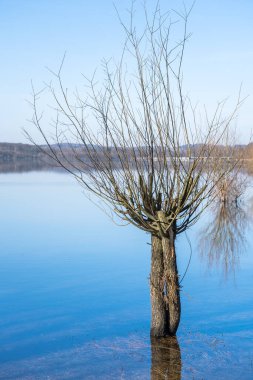 Güzel gökyüzü ile sakin göl manzarası