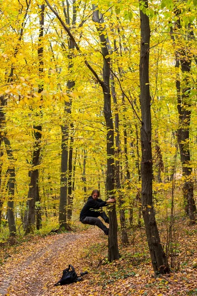 Осеннее фото в лесу — стоковое фото