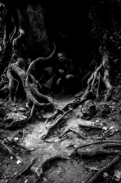 나무의 뿌리 — 스톡 사진