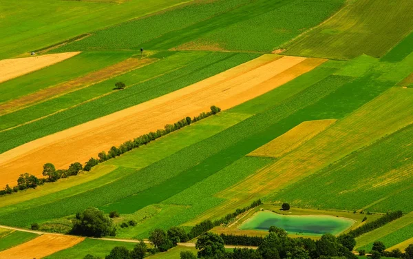 Luchtfoto van het groene velden vóór oogst — Stockfoto