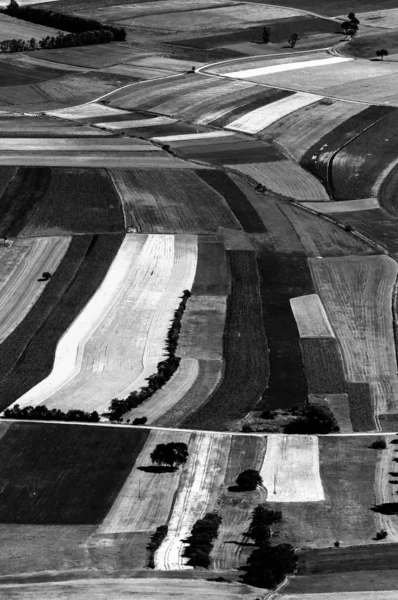 Черные и белые поля — стоковое фото