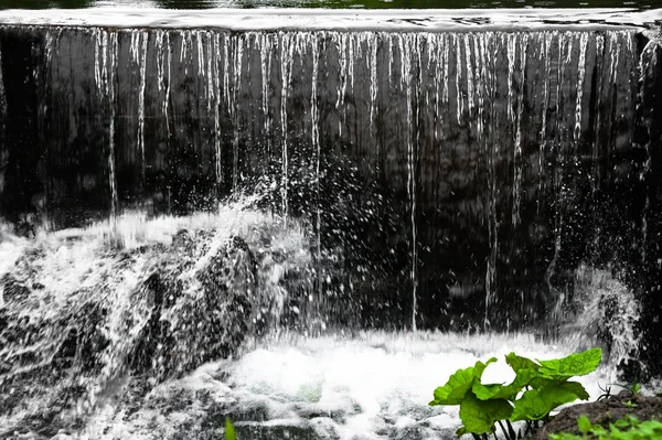 Outdoor waterfall closeup photo — Stock Photo, Image