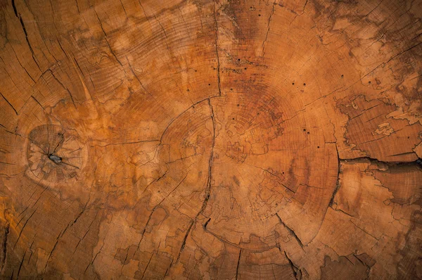 抽象的な天然木製テクスチャ背景 — ストック写真