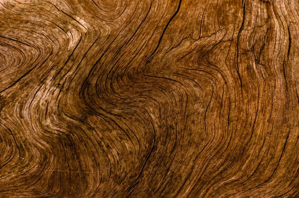 Astratto naturale texture di legno sfondo — Foto Stock