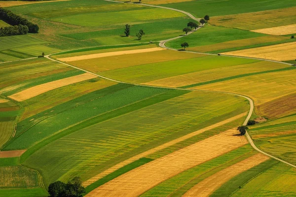 Campos verdes vista aérea antes de la cosecha — Foto de Stock