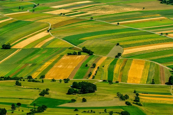 Campos verdes vista aérea antes de la cosecha — Foto de Stock