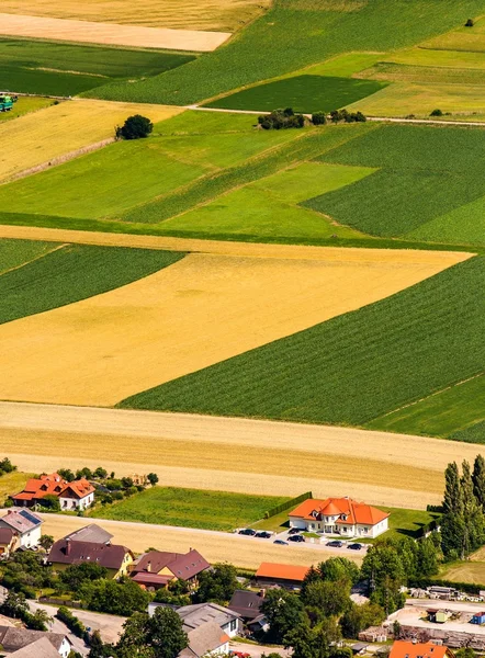 Widok z lotu ptaka zielonych pól przed zbiorem — Zdjęcie stockowe