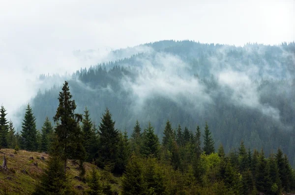 Beautiful landscape at the mountains — Stock Photo, Image