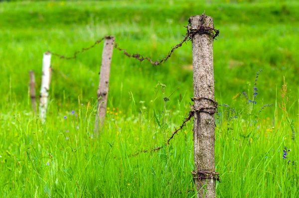 Small fence for the animals — Stock Photo, Image