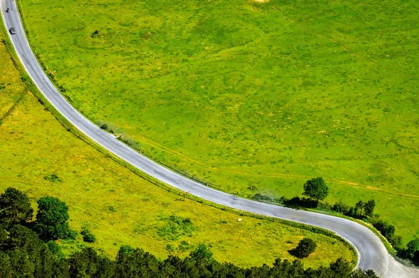 Campos verdes con carretera — Foto de Stock