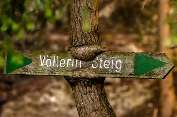 Panneau en bois dans le tronc de l'arbre — Photo