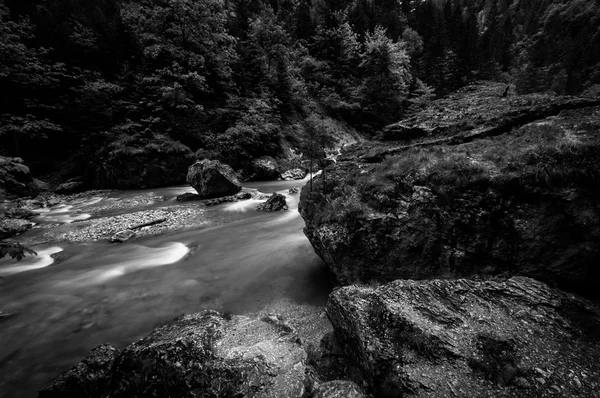 Fast mountain river flowing — Stock Photo, Image